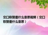 交口称赞是什么意思视频（交口称赞是什么意思）