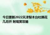今日更新2022天津梨木台杜鹃花几月开 附观赏攻略