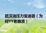 武汉油压力变送器（为何YY老崩溃）
