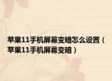 苹果11手机屏幕变暗怎么设置（苹果11手机屏幕变暗）
