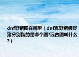 dnf野猪图在哪里（dnf真野猪假野猪分别指的是哪个图?远古图叫什么?）