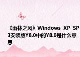 《雨林之风》Windows  XP  SP3安装版Y8.0中的Y8.0是什么意思