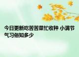 今日更新吃苦苦菜忙收种 小满节气习俗知多少