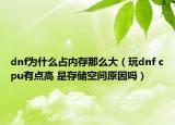 dnf为什么占内存那么大（玩dnf cpu有点高 是存储空间原因吗）
