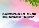 怎么回看湖南卫视节目（肿么回看湖南卫视的节目?用什么回看啊?）