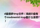 d盘很多tmp文件（我的D盘有个msdownld.tmp是什么意思?）