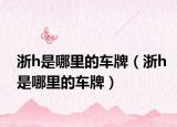 浙h是哪里的车牌（浙h是哪里的车牌）