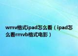 wmv格式ipad怎么看（ipad怎么看rmvb格式电影）