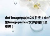 dnf imagepacks2文件夹（dnf里Imagepacks2文件都是什么意思）