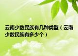 云南少数民族有几种类型（云南少数民族有多少个）