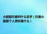 小甜甜抖音叫什么名字（抖音小甜甜个人资料是什么）