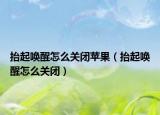 抬起唤醒怎么关闭苹果（抬起唤醒怎么关闭）