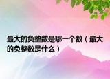 最大的负整数是哪一个数（最大的负整数是什么）