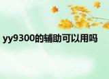 yy9300的辅助可以用吗