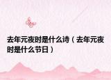 去年元夜时是什么诗（去年元夜时是什么节日）