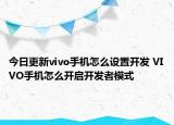 今日更新vivo手机怎么设置开发 VIVO手机怎么开启开发者模式