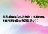 昂科威usb充电器电流（标准的USB充电器的输出电流是多少?）