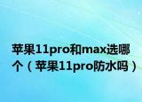苹果11pro和max选哪个（苹果11pro防水吗）