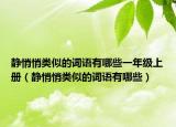 静悄悄类似的词语有哪些一年级上册（静悄悄类似的词语有哪些）
