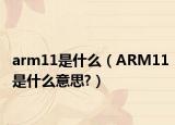 arm11是什么（ARM11是什么意思?）