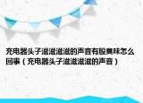 充电器头子滋滋滋滋的声音有股臭味怎么回事（充电器头子滋滋滋滋的声音）