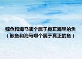 鲸鱼和海马哪个属于真正海里的鱼（鲸鱼和海马哪个属于真正的鱼）