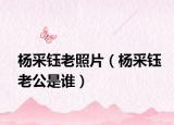 杨采钰老照片（杨采钰老公是谁）