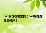 cad属性在哪里找（cad属性在哪里打开）
