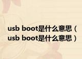 usb boot是什么意思（usb boot是什么意思）