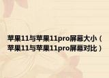 苹果11与苹果11pro屏幕大小（苹果11与苹果11pro屏幕对比）