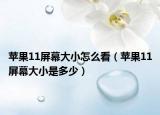 苹果11屏幕大小怎么看（苹果11屏幕大小是多少）