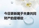 今日更新属于夫妻共同财产的是哪些