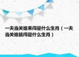 一夫当关谁来闯是什么生肖（一夫当关谁能闯是什么生肖）