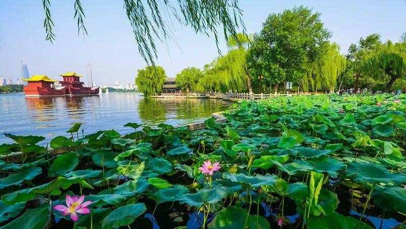 浓眉大眼的济南，却也有精致妩媚的风骨；且看文人墨客眼中的济南