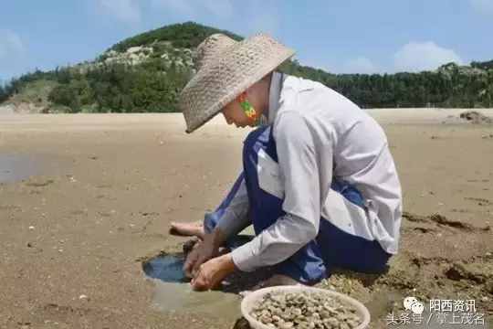 阳西大树岛，碧海蓝天也可以让你忘记夏季的炎热