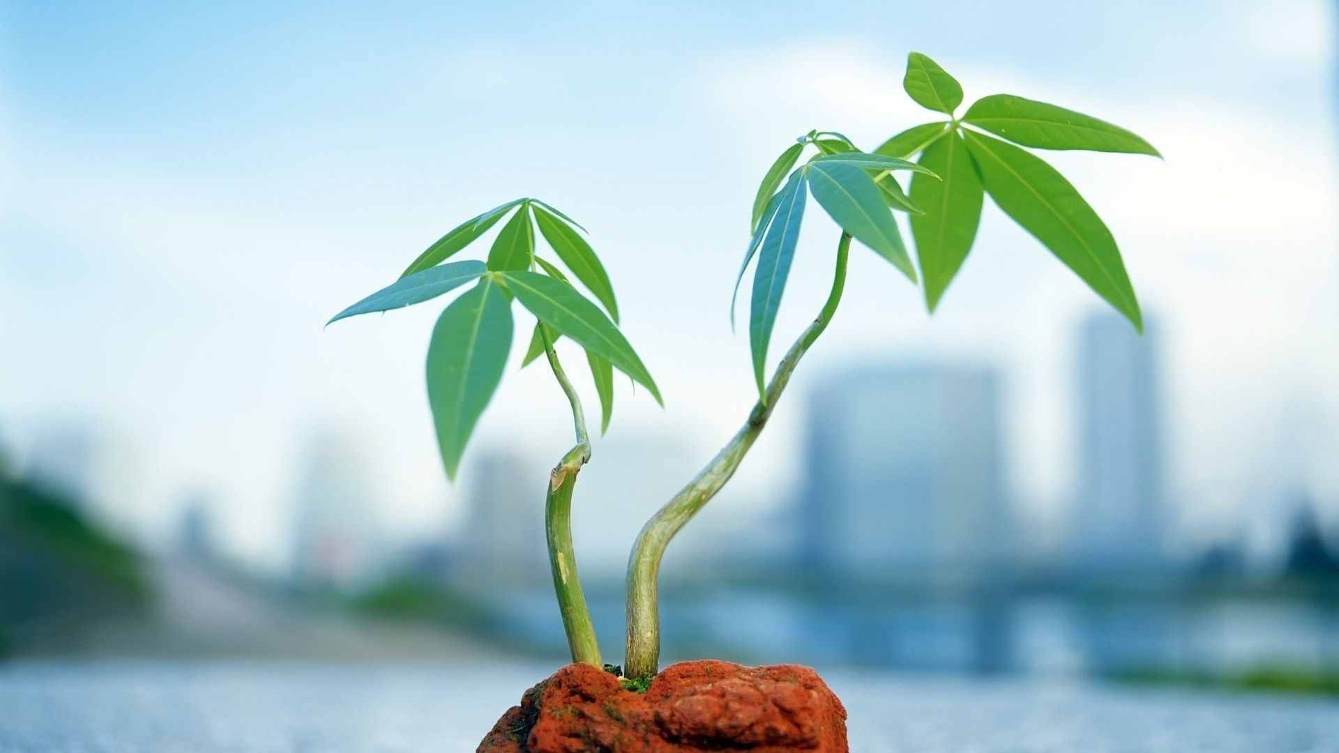 郑愁予的一首《赋别》，爱情的原本面貌便可知！