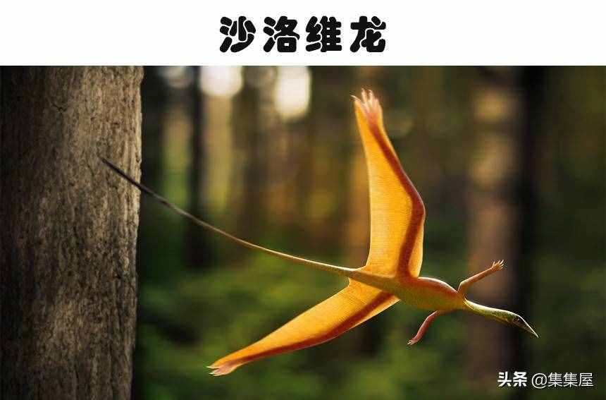 科学家发现了有长颈鹿那么高的巨鸟!5个奇怪的史前生物发现