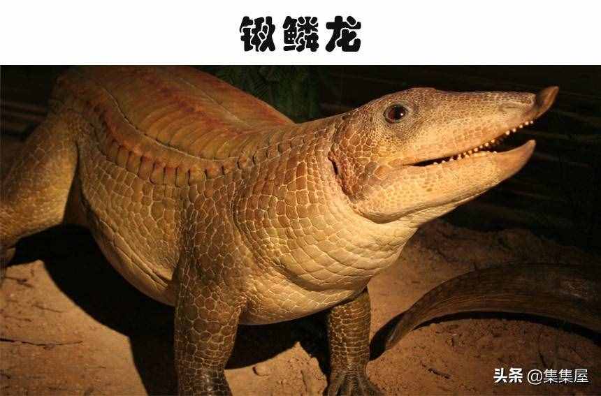 科学家发现了有长颈鹿那么高的巨鸟!5个奇怪的史前生物发现