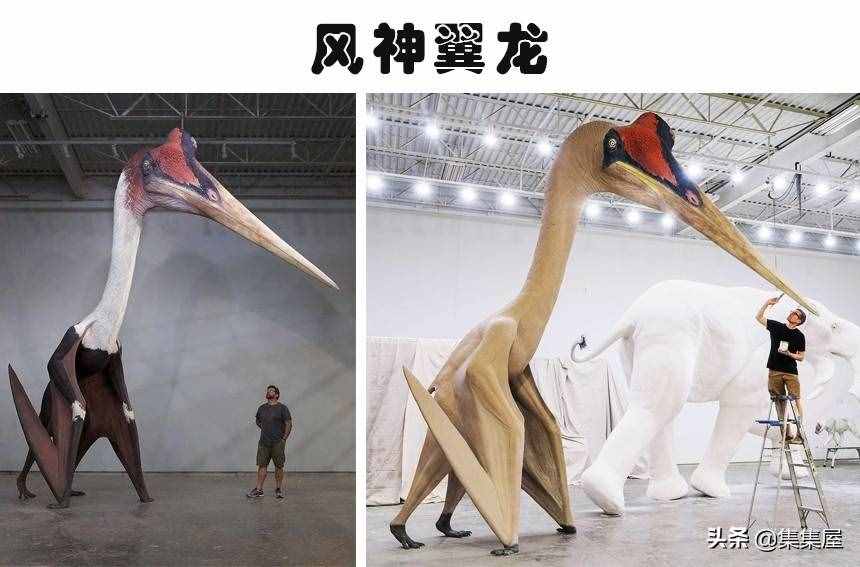 科学家发现了有长颈鹿那么高的巨鸟!5个奇怪的史前生物发现