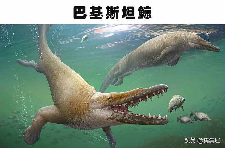 科学家发现了有长颈鹿那么高的巨鸟!5个奇怪的史前生物发现