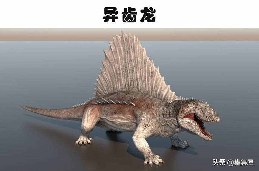 科学家发现了有长颈鹿那么高的巨鸟!5个奇怪的史前生物发现