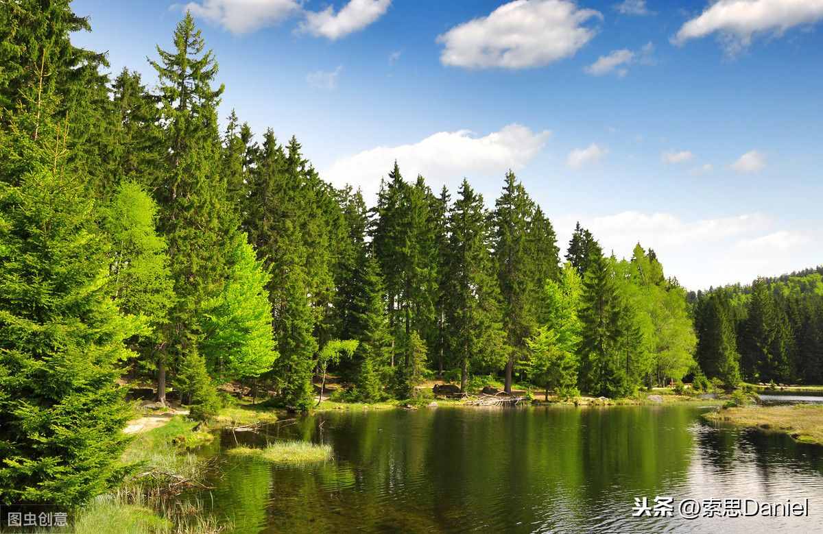 索思英语解码单词（第229个）——forest森林