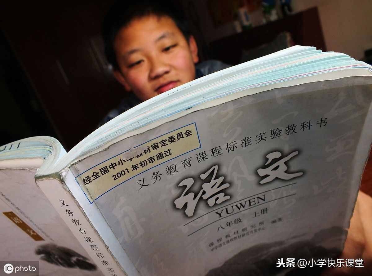 句子——陈述句，在大语文时代的背景下，暑假里扩大自己的知识面