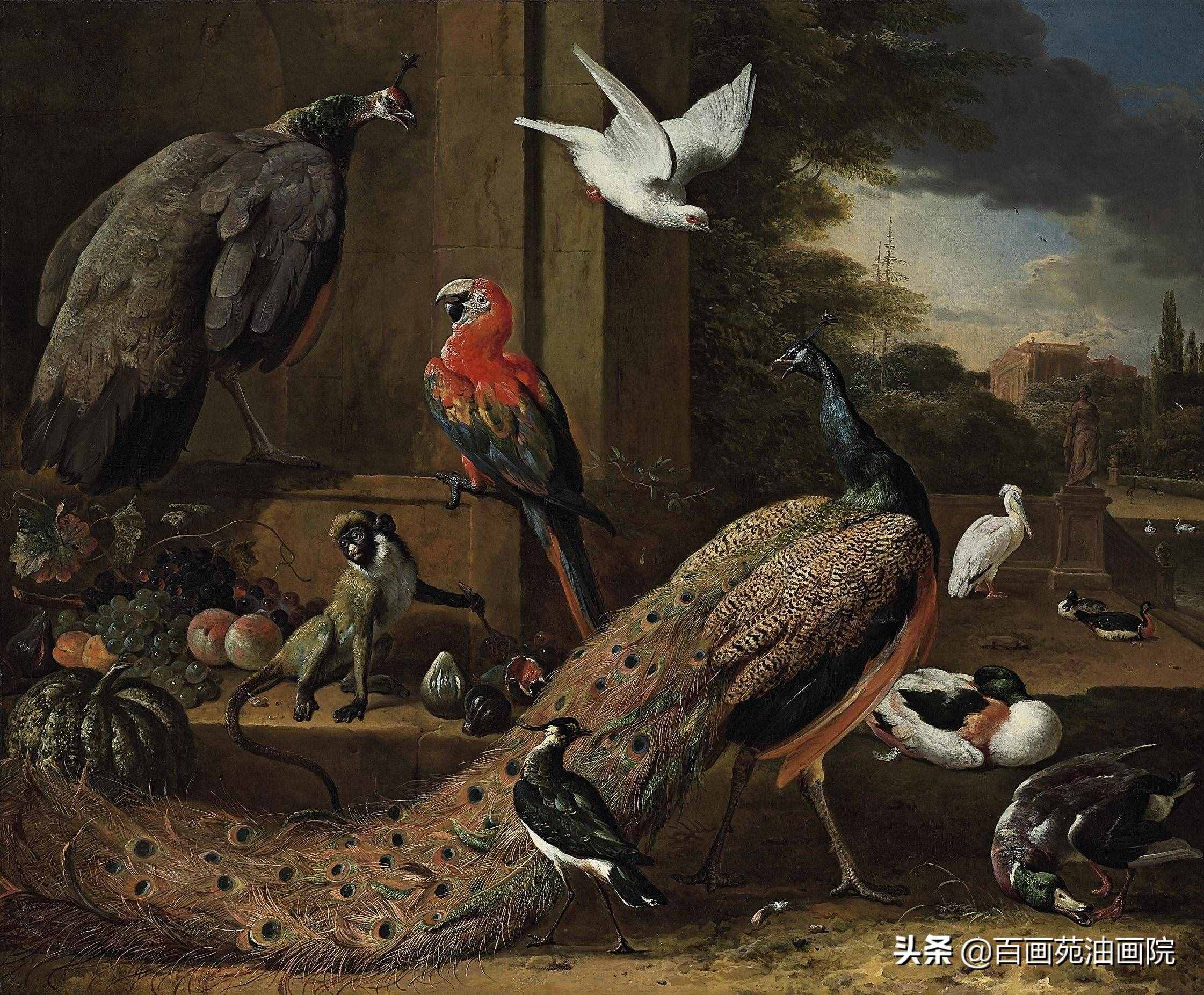 油画动物欣赏——Melchior·d'Hondecoeter
