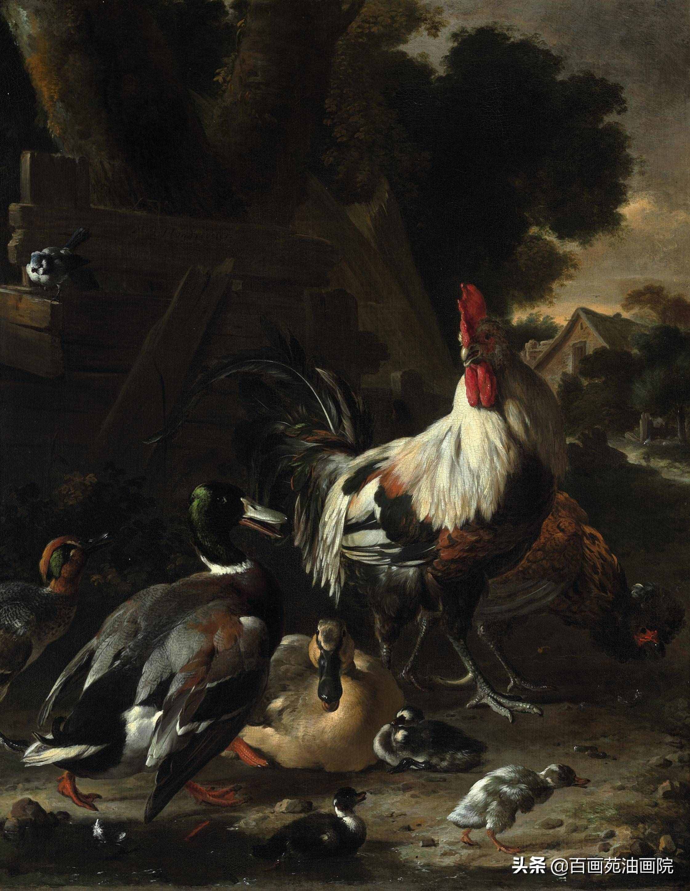 油画动物欣赏——Melchior·d'Hondecoeter