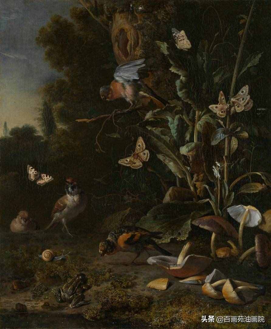 油画动物欣赏——Melchior·d'Hondecoeter