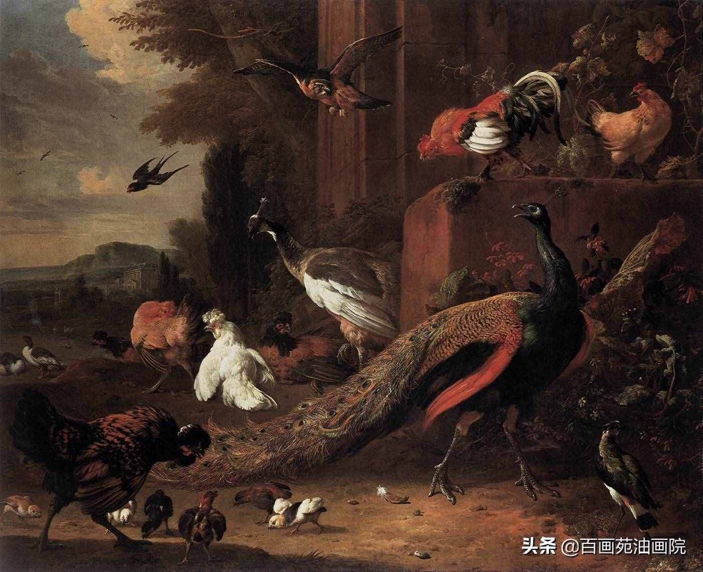 油画动物欣赏——Melchior·d'Hondecoeter