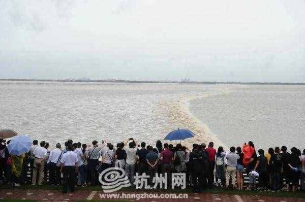 今年八月十八钱江潮比去年大！最佳观潮时间和地点请收好