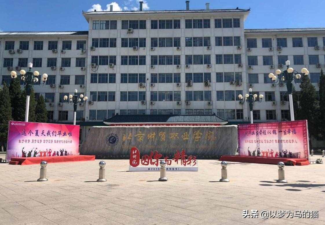 这11所“专科院校”就业率较高，地理位置很好，毕业生机会很多