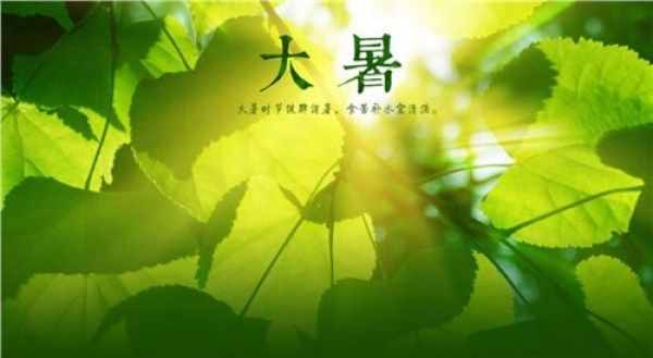 大暑节气有哪些传统食物 介绍这9种